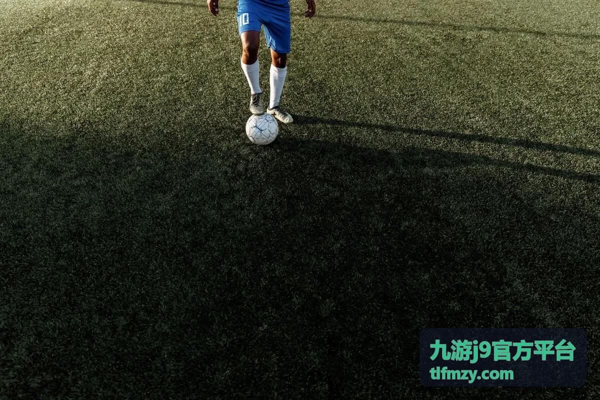 九游j9官方平台玩法指南封面图